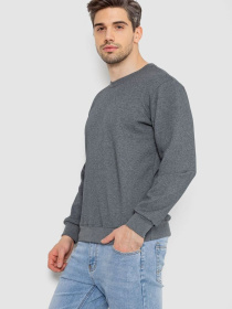 Свитшот Ager модель У-1131335::000000072 Фото