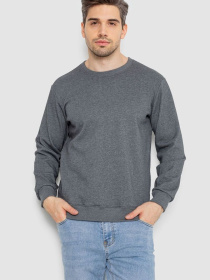 Світшот Ager модель У-1131335::000000072 Фото