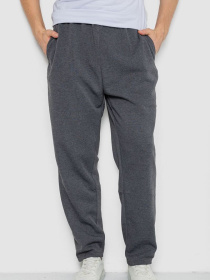 Повседневные штаны Ager модель У-1131390::000000087 Фото