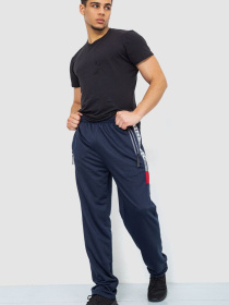 Спортивні штани Ager модель У-1128997::000000090 Фото