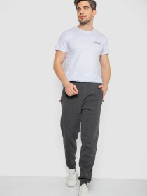 Спортивні штани Ager модель У-1131386::000000087 Фото