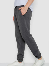 Спортивні штани Ager модель У-1131386::000000087 Фото