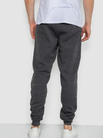 Джоггеры Ager модель У-1131389::000000087 Фото