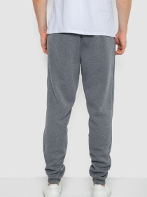 Спортивні штани Ager модель У-1131385::000000072 Фото