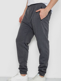 Штаны спортивные Ager модель У-1131385::000000087 Фото