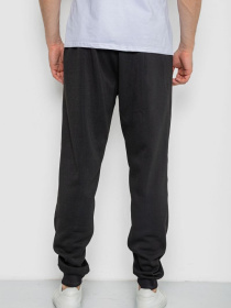 Штаны спортивные Ager модель У-1131385::000000096 Фото