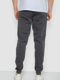 Штаны спортивные Ager модель У-1131392::000000087 Фото