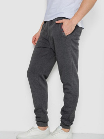 Спортивні штани Ager модель У-1131392::000000087 Фото