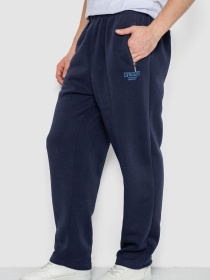 Джоггеры Ager модель У-1131425::000000090 Фото