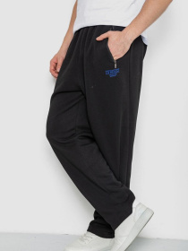 Штаны спортивные Ager модель У-1131425::000000096 Фото