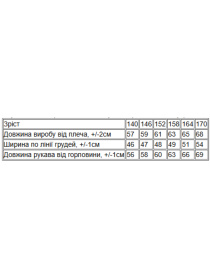 Худі Носи своє модель 6394-141-chornij Фото