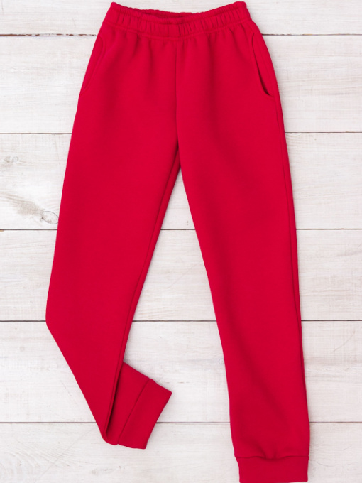 Джоггеры Носи своє модель 6231-025-polunicq Фото