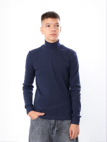 Водолазка Носи своє модель 6068-019-temnij-graft Фото