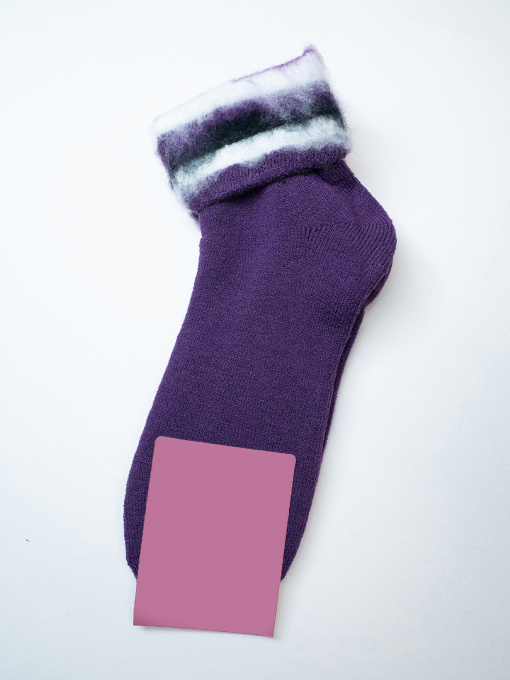 Шкарпетки ISSA Plus модель NS-406_фиолетовый Фото