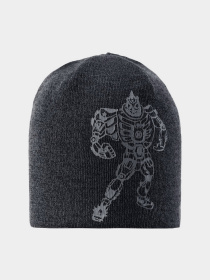 Шапка LASSIE модель 728765_9991 Фото