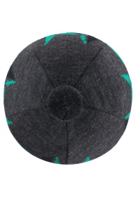 Шапка REIMA модель 528548_9730 Фото