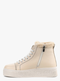 Черевики LeBERDES модель 00000017629 Черевики LeBERDES модель 00000017629 Фото