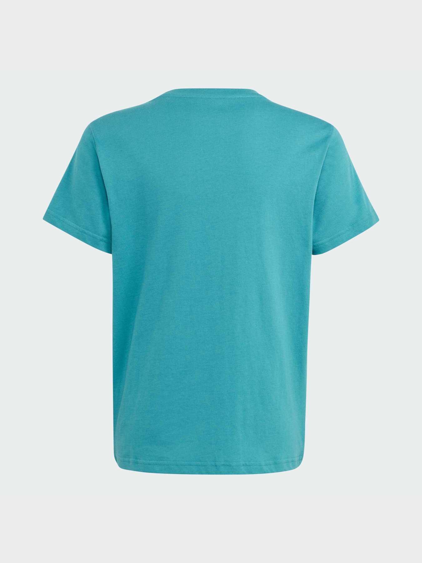 Футболка Adidas Adicolor модель IJ7147 Фото