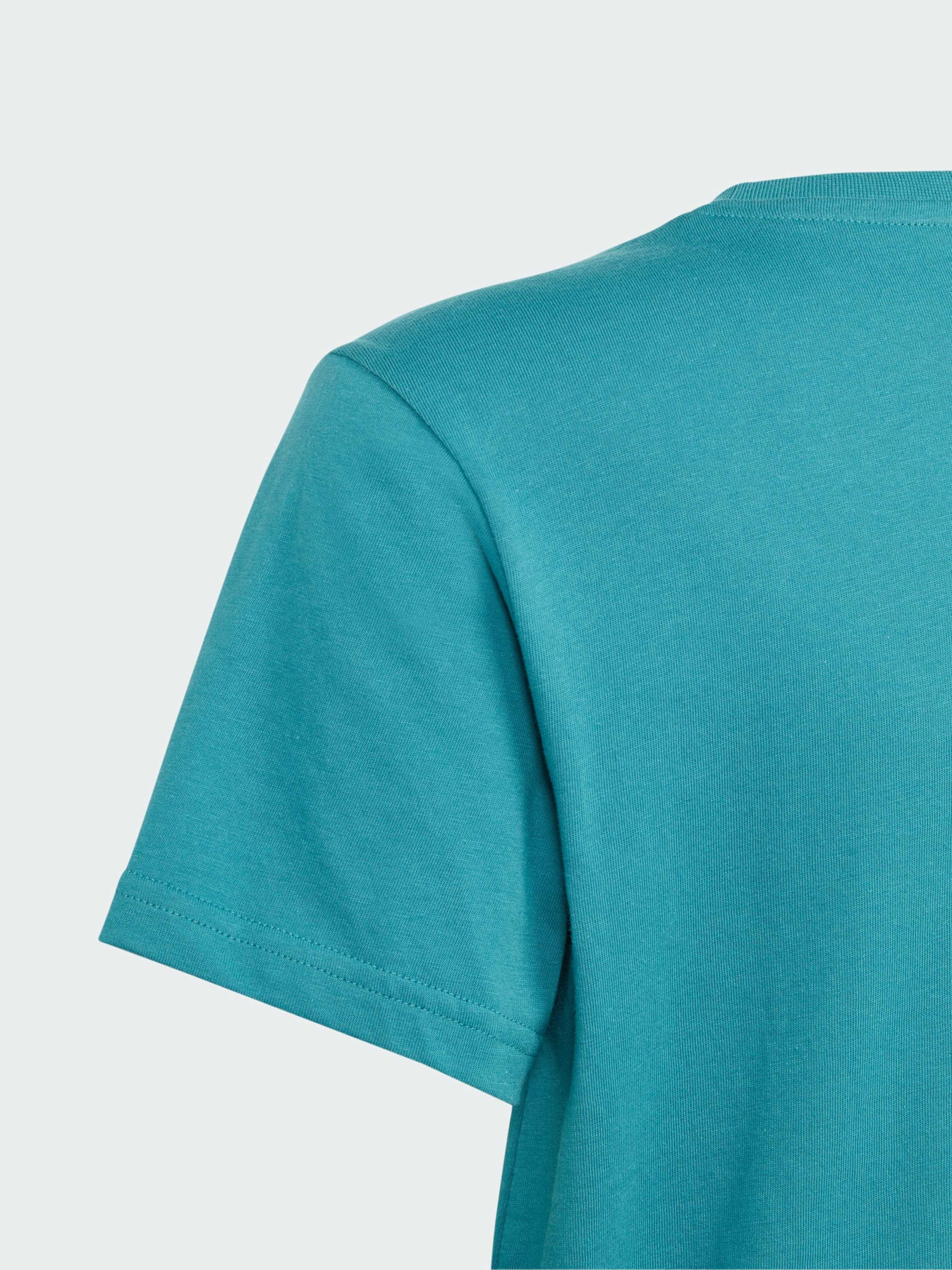 Футболка Adidas Adicolor модель IJ7147 Фото