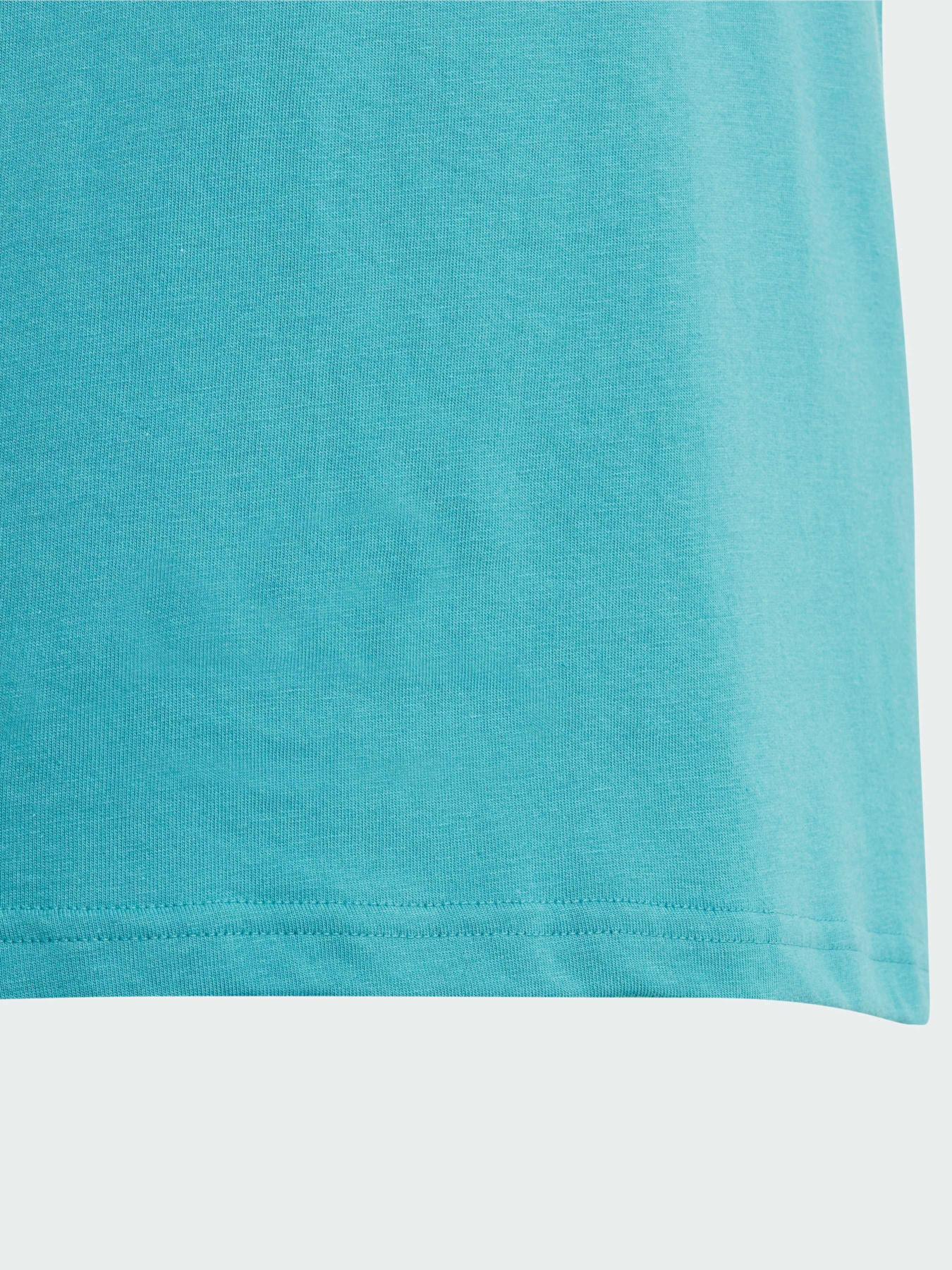 Футболка Adidas Adicolor модель IJ7147 Фото