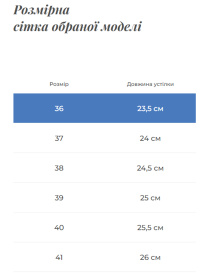 Ботинки Gem модель 082-13C Фото