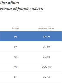 Сапоги Gem модель 1934-2R Фото