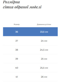 Ботинки Gem модель 082-13A Фото