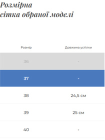 Ботинки Gem модель 512-13-38w266 Фото