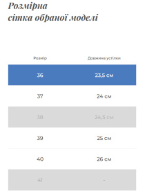 Черевики Gem модель 10-1869098-H Фото