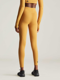 Леггинсы спортивные Adidas модель IY3428 Фото