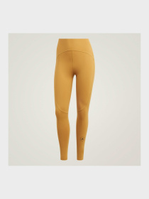 Леггинсы спортивные Adidas модель IY3428 Фото