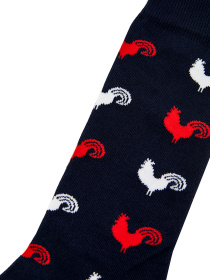 Носки GARCON FRANCAIS Chaussettes16TRO модель Chaussettes16TRO Фото