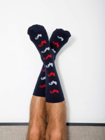 Носки GARCON FRANCAIS Chaussettes16TRO модель Chaussettes16TRO Фото