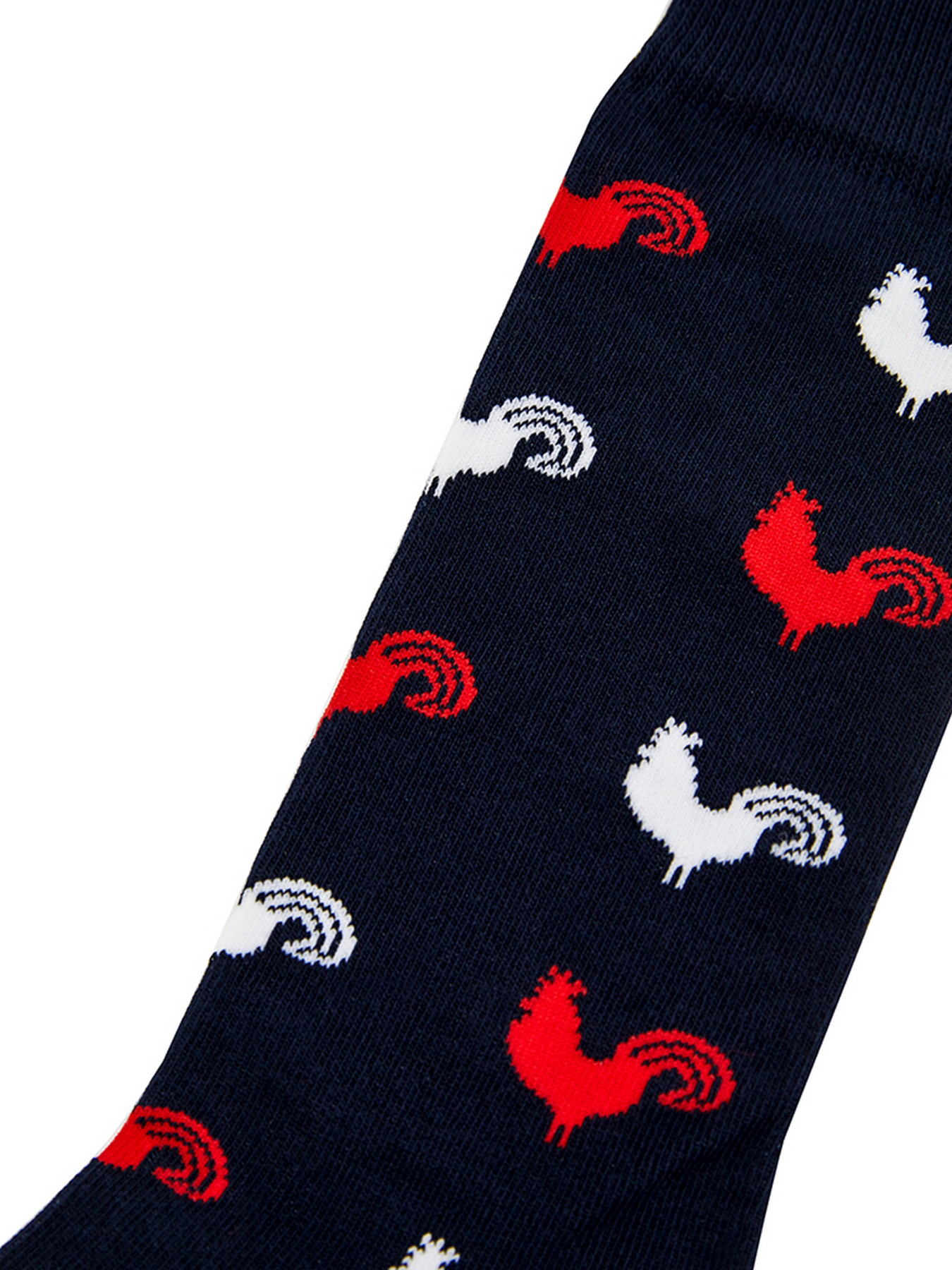 Шкарпетки GARCON FRANCAIS Chaussettes16TRO модель Chaussettes16TRO Фото