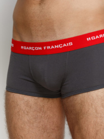 Трусы GARCON FRANCAIS Shorty12GRI модель Shorty12GRI Фото