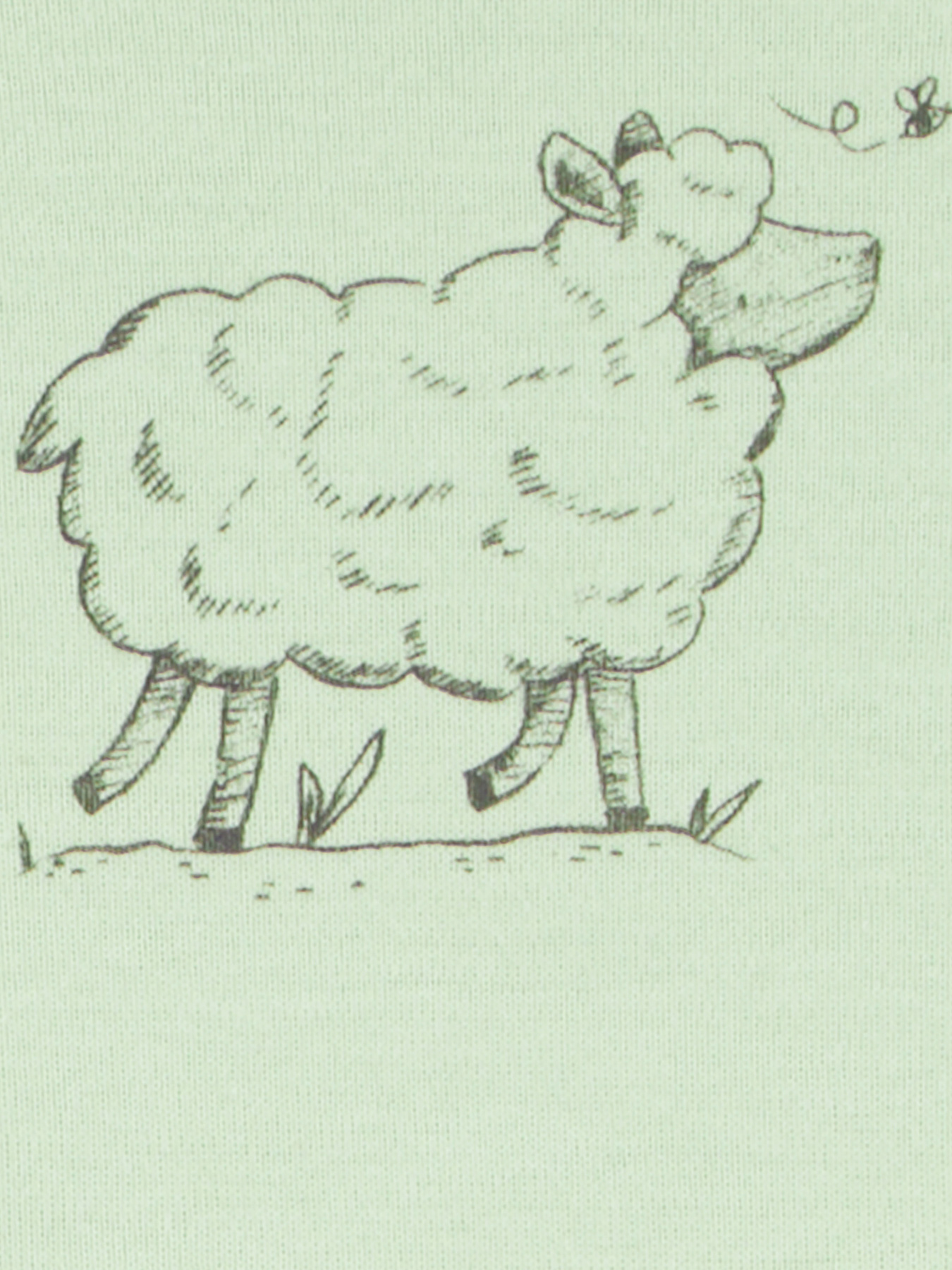 Боді для немовлят Carter’s модель 1R036410 Фото