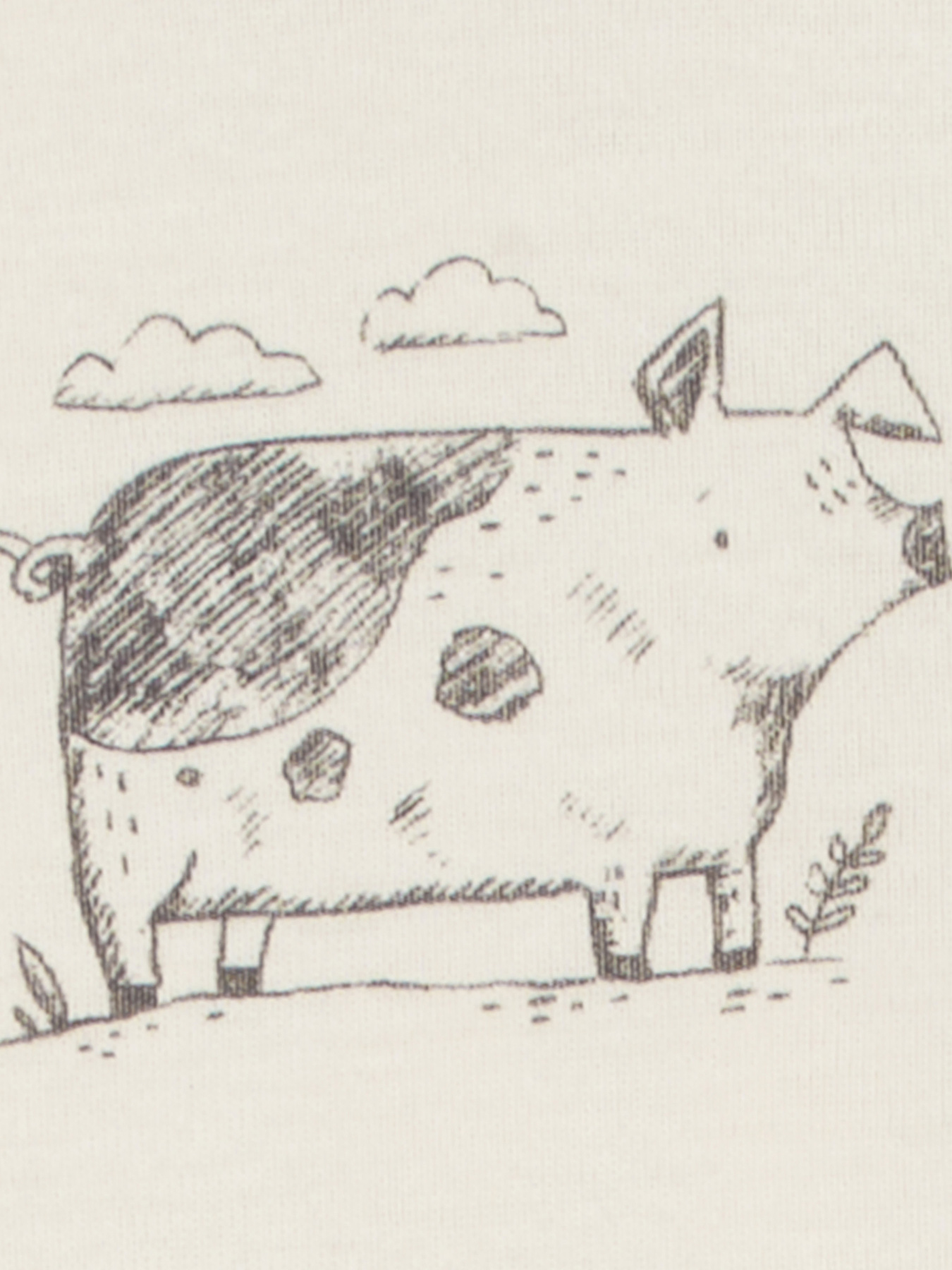 Боді для немовлят Carter’s модель 1R036410 Фото