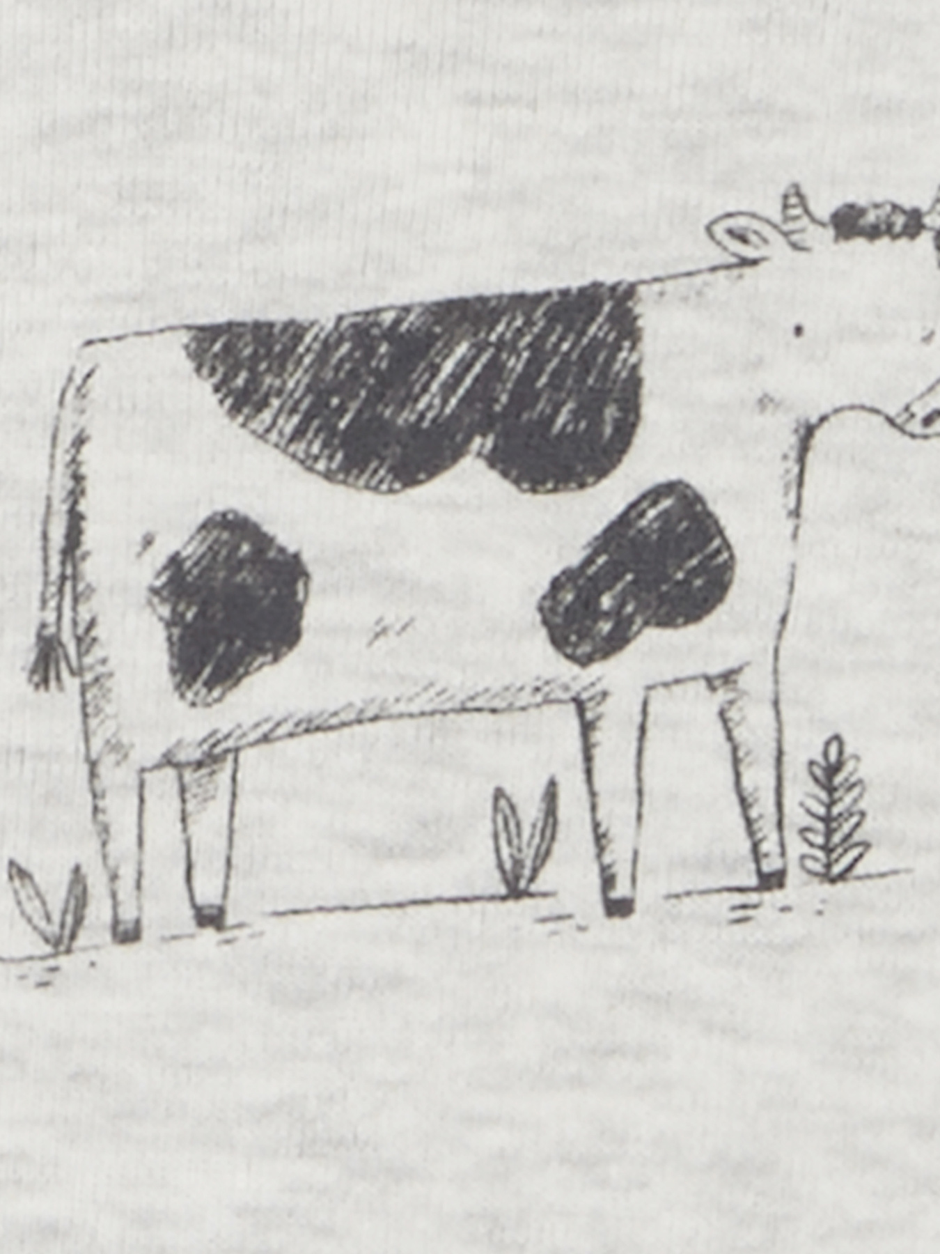 Боди для младенцев Carter’s модель 1R036410 Боди для младенцев Carter’s модель 1R036410 Фото