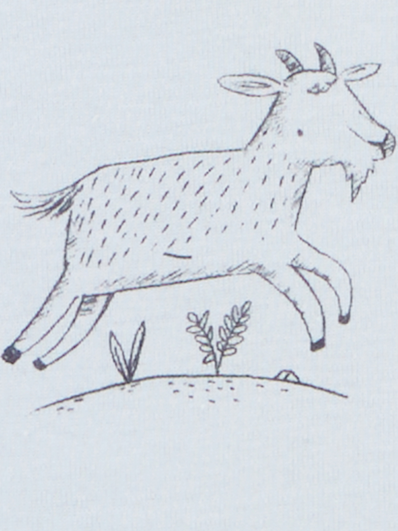 Боди для младенцев Carter’s модель 1R036410 Боди для младенцев Carter’s модель 1R036410 Фото