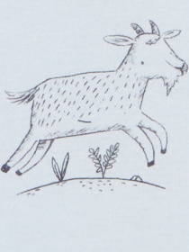 Боди для младенцев Carter’s модель 1R036410 Боди для младенцев Carter’s модель 1R036410 Фото