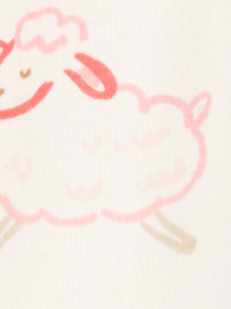 Комплект для немовлят Carter’s модель 1R040110 Фото