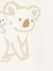 Комплект для младенцев Carter’s модель 1R040210 Фото