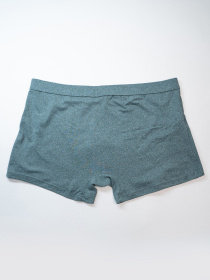 Трусы ISSA Plus модель GN5-238_зеленый Фото