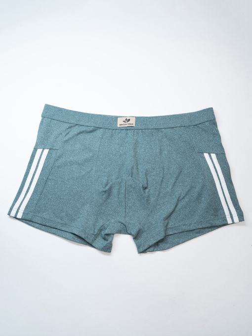 Труси ISSA Plus модель GN5-238_зеленый Фото