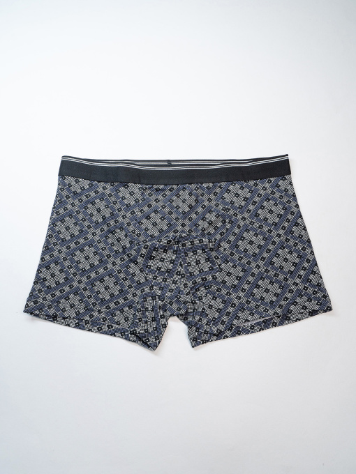 Трусы ISSA Plus модель GN5-233_серый Фото