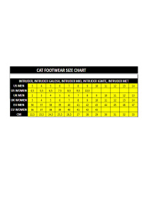 Кроссовки Caterpillar Intruder Galosh 2.0 Low Wp модель P111620 Фото