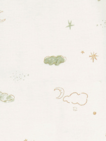 Боді для немовлят Carter’s модель 1P621510 Фото