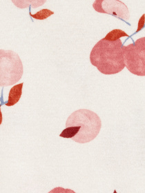 Боди для младенцев Carter’s модель 1R320410 Фото