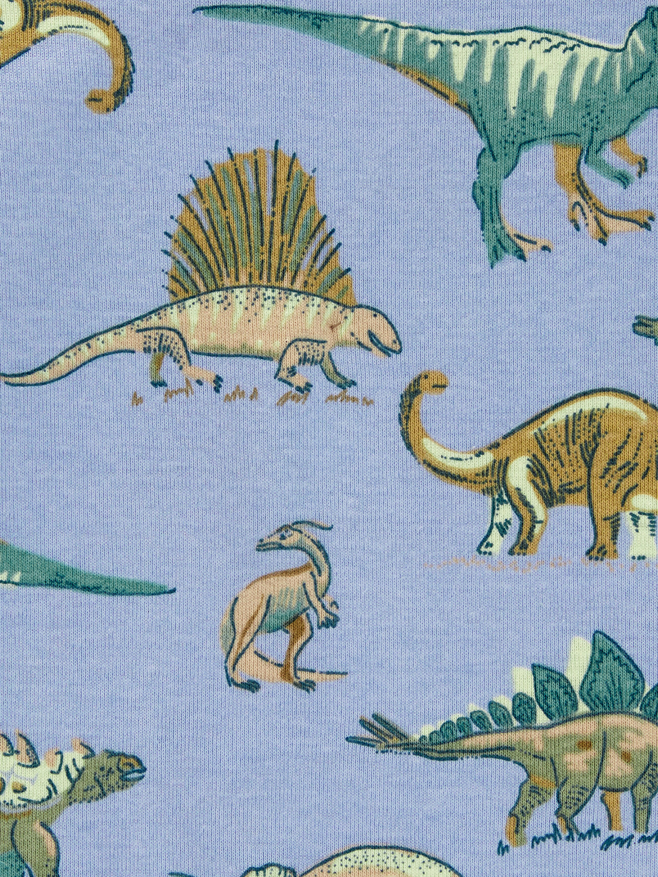 Піжама Carter’s модель 1R492510 Піжама Carter’s модель 1R492510 Фото