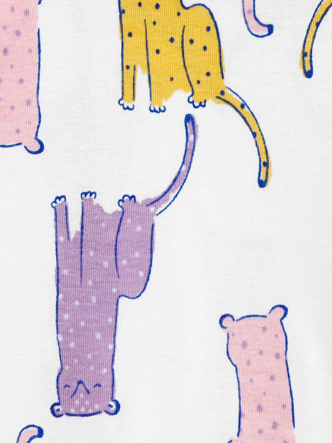 Пижама Carter’s модель 1R493010 Фото